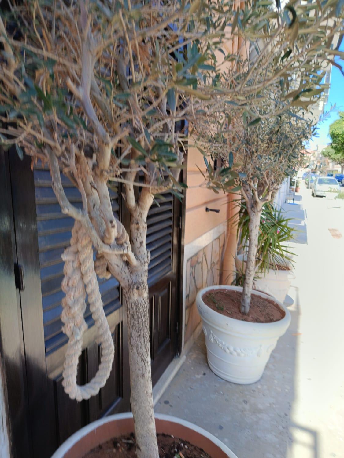 Da Cappellini Bed & Breakfast Isola delle Femmine Bagian luar foto